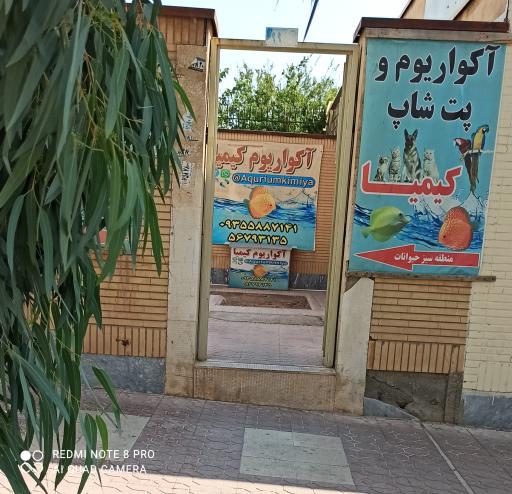 عکس آکواریوم و پت شاپ کیمیا