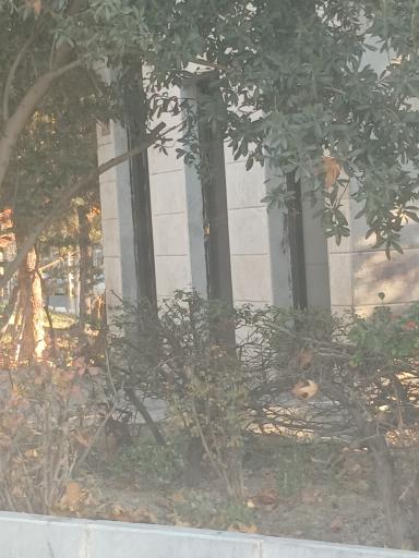 عکس سرویس بهداشتی