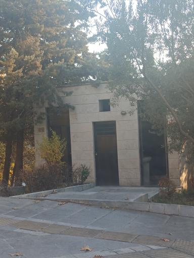 عکس سرویس بهداشتی