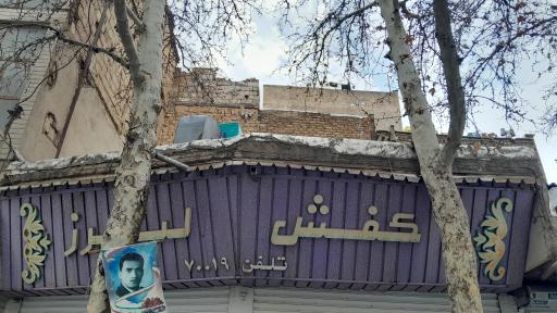 عکس کفش البرز