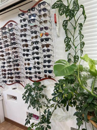 عکس اپتومتریست نسیبه نادری