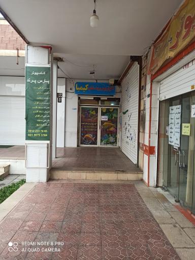 عکس آکواریوم و پت شاپ کیمیا
