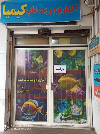 عکس آکواریوم و پت شاپ کیمیا