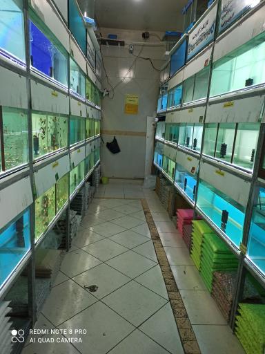 عکس آکواریوم و پت شاپ کیمیا