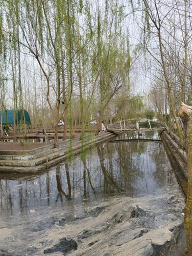 عکس تالاب چاف 
