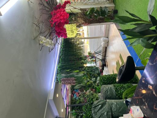عکس پخش چمن مصنوعی دکورباما