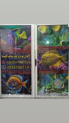 عکس آکواریوم و پت شاپ کیمیا