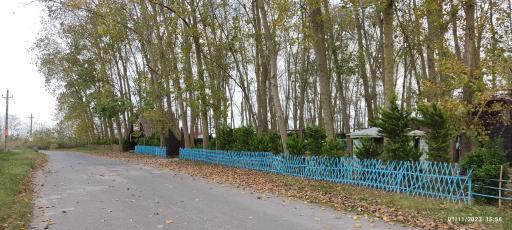 عکس نی باغ ساحلی لوئی