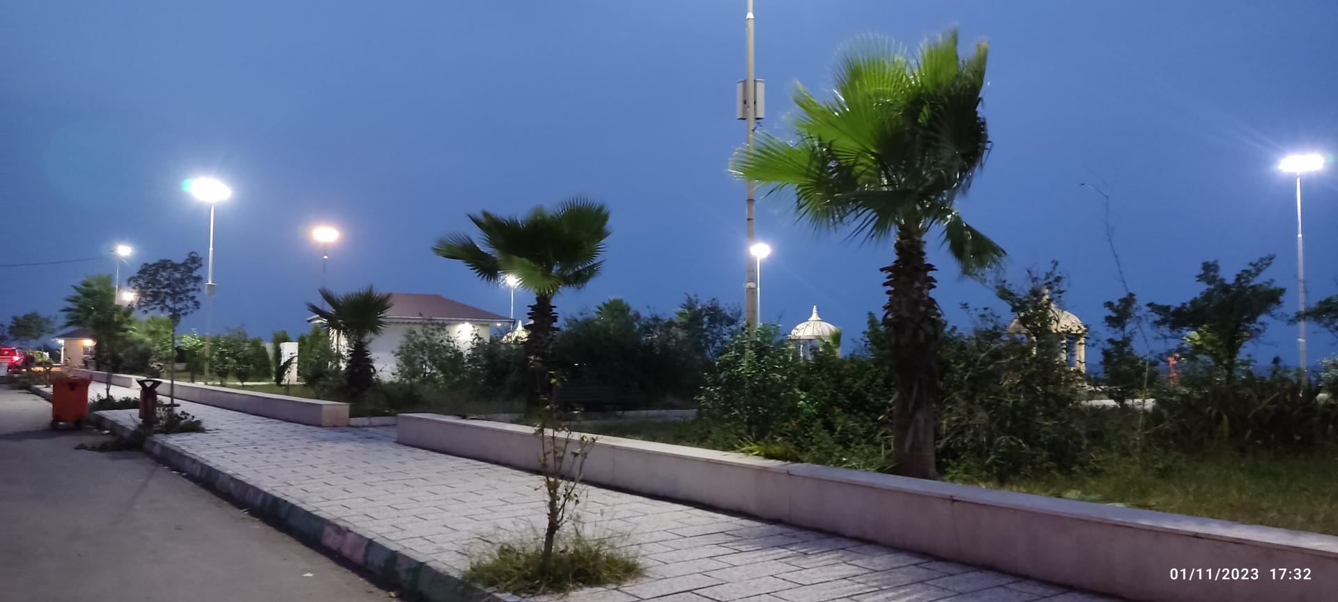 عکس نی باغ ساحلی لوئی