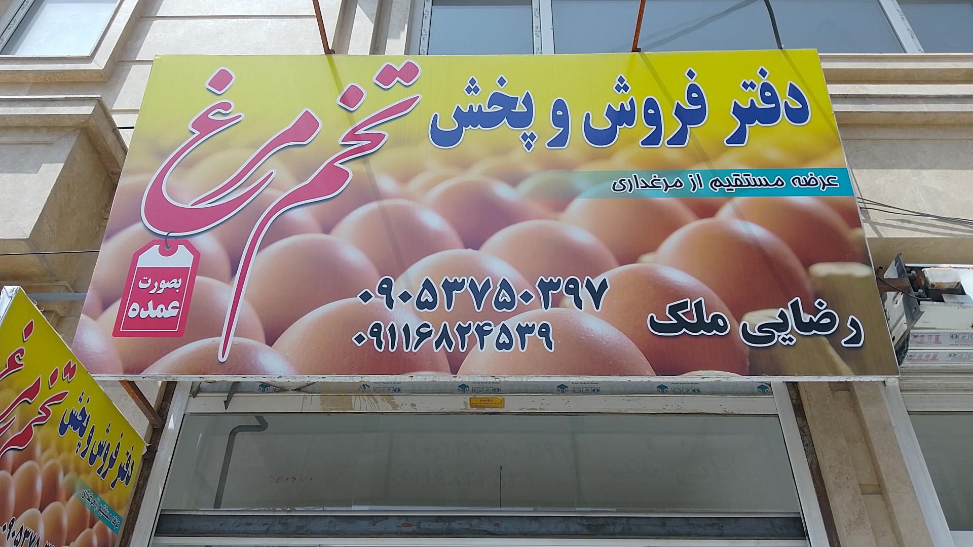 عکس پخش تخم مرغ رضایی ملک