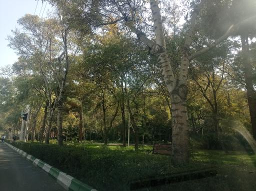 عکس بوستان ستاره