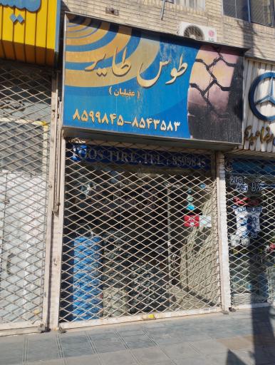 عکس طوس طایر