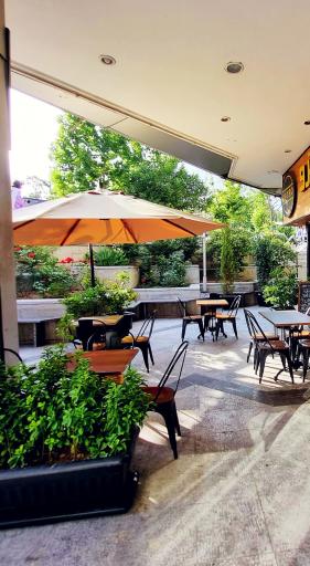 عکس پیتزا پترو