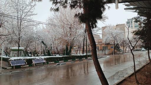 عکس بوستان ستاره