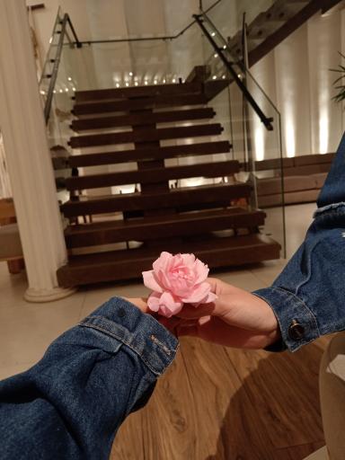 عکس دیزین ترک