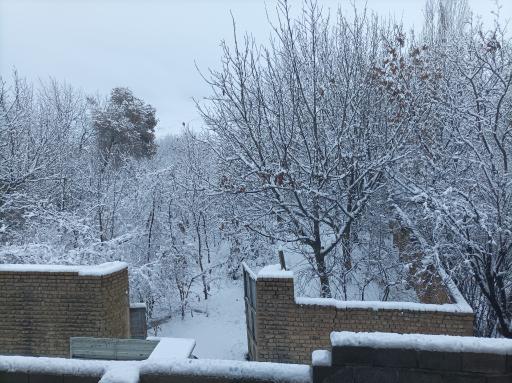 عکس خایان