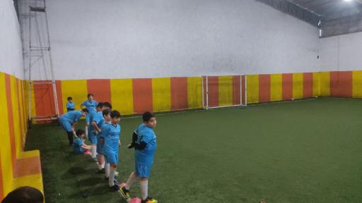 چمن مصنوعی امیر کبیر 