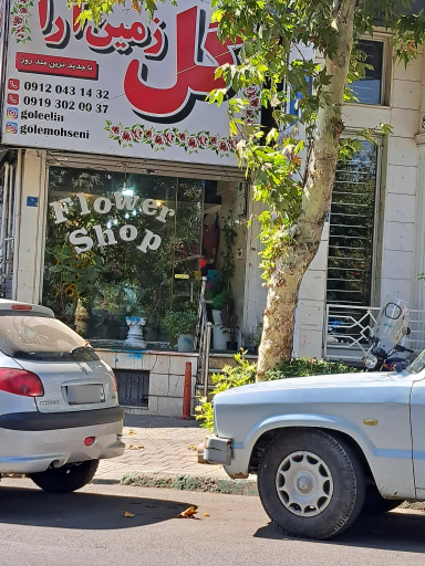 عکس گل زمین آرا