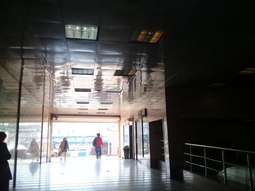 عکس استاد معین