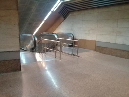 عکس استاد معین