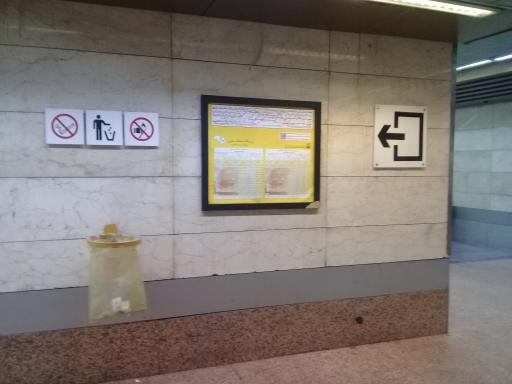 عکس استاد معین