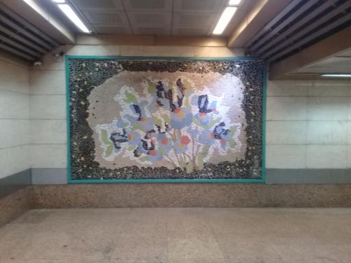 عکس استاد معین