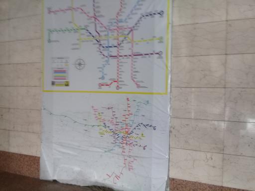 عکس استاد معین