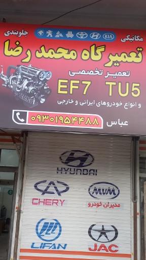 تعمیر گاه محمد رضا (عباس)