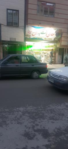 عکس عطاری و خشکبار ابن سینا