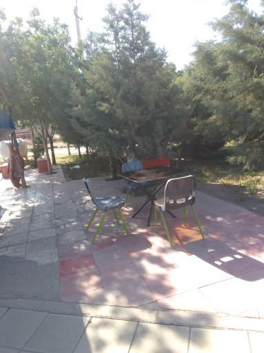 عکس دکه امینی