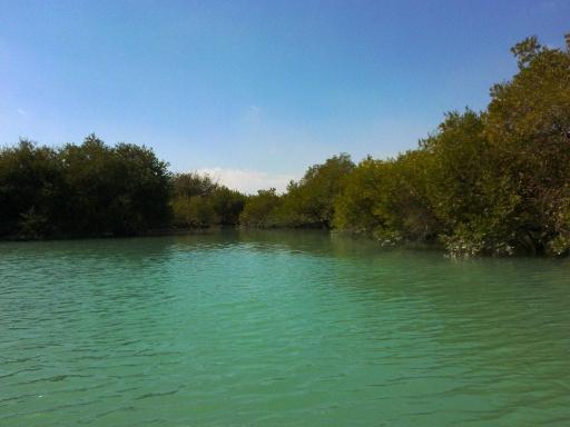 عکس جنگل حرا ولایت