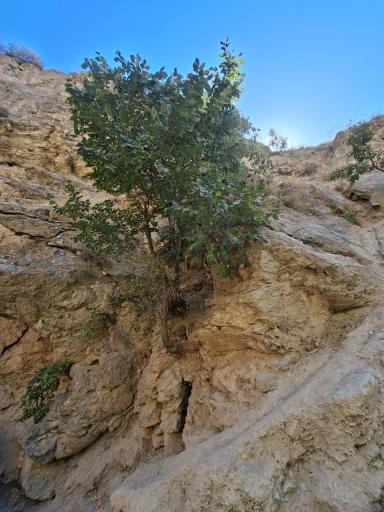 عکس آبشار صحنه