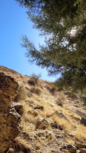 عکس آبشار صحنه