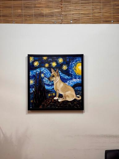 عکس کافه رستوران  رافا