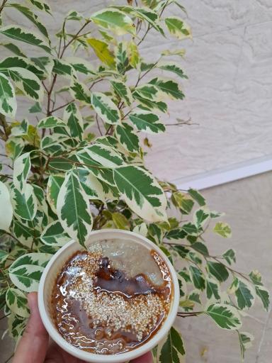 عکس آشکده شادمان پز