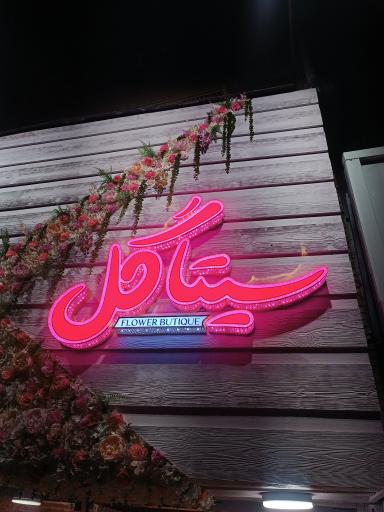 عکس سیتاگل