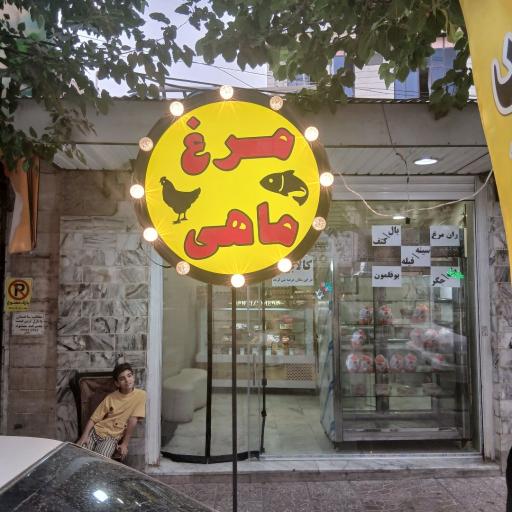 عکس مرغ پلاس