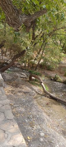 عکس آبشار صحنه