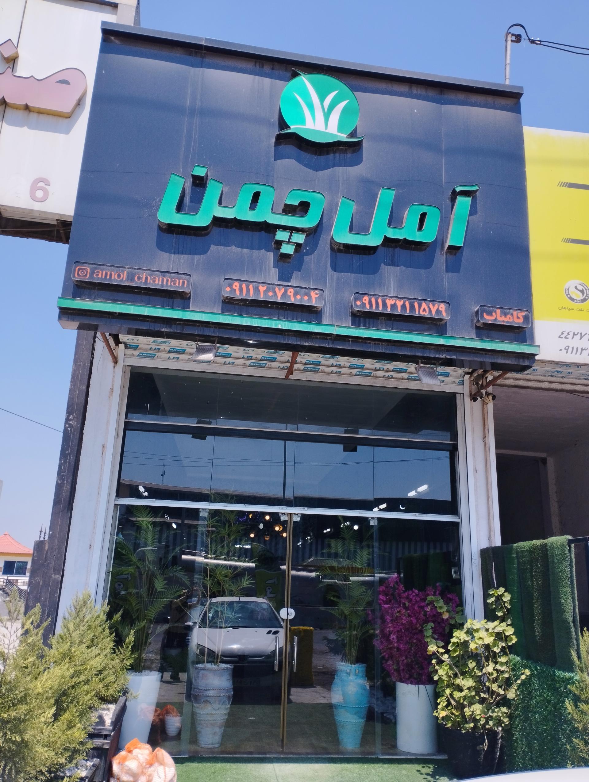 عکس چمن مصنوعی آمل چمن