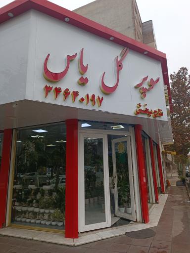 عکس گل فروشی یاس