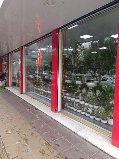 عکس گل فروشی یاس