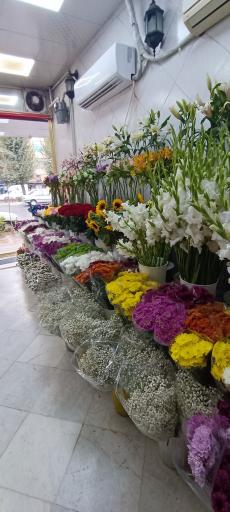 عکس گل فروشی یاس