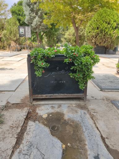 عکس مزار هوشنگ گلشیری