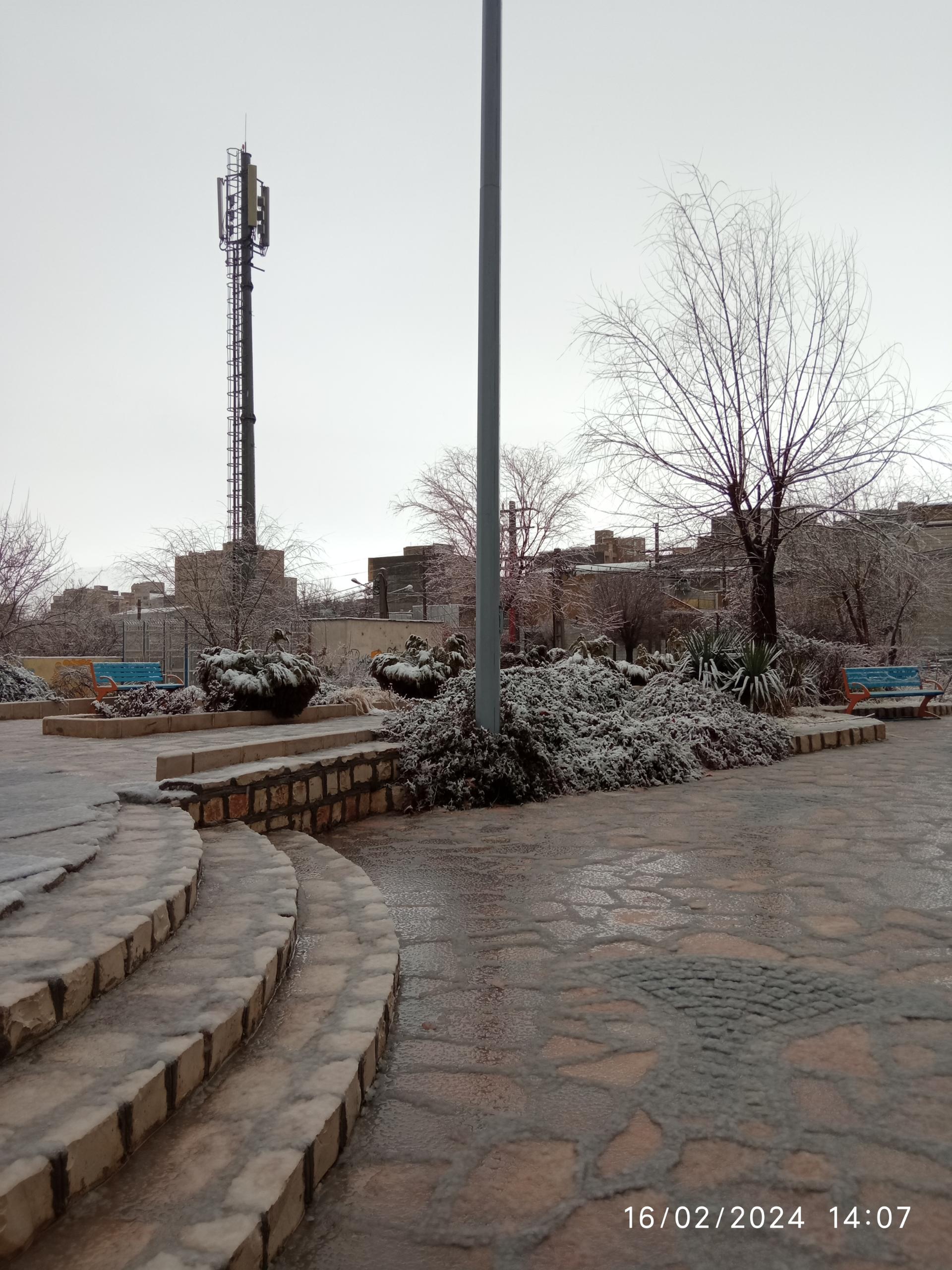 عکس پارک لاله