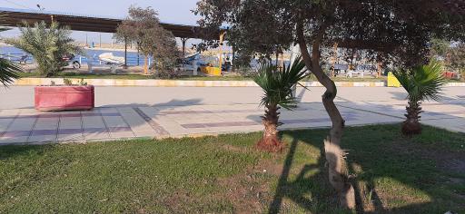 عکس دریاچه مصنوعی پارک شهرداری ماهشهر 