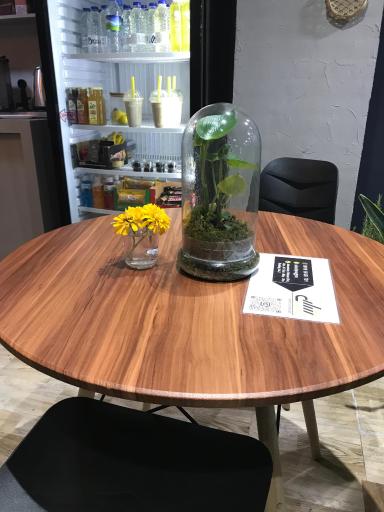 عکس باشگاه ورزشی شانی