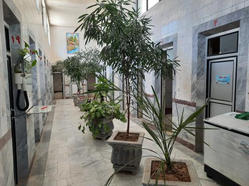 عکس گرمابه بهار