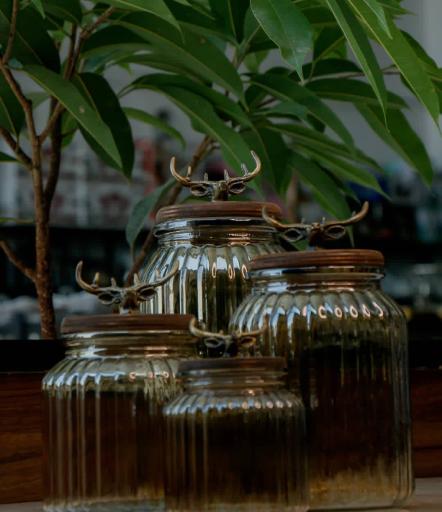 عکس فروشگاه لوازم خانگی مدرنا