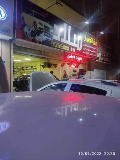 برق اتومبیل و دیاگ میلاد