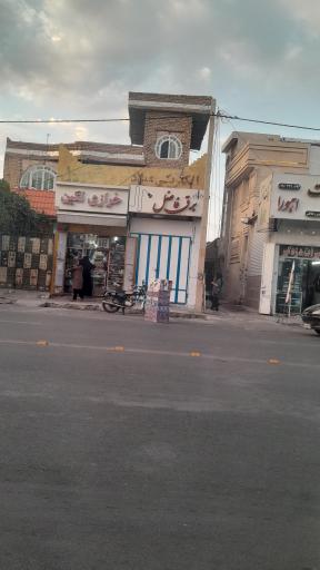 عکس خرازی نگین